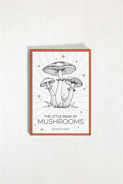 The Art of Foraging for Mushroom Nooks: Tips and Tricks